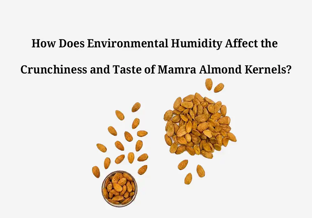 How Does Environmental Humidity Affect the Crunchiness and Taste of Mamra Almond Kernels?