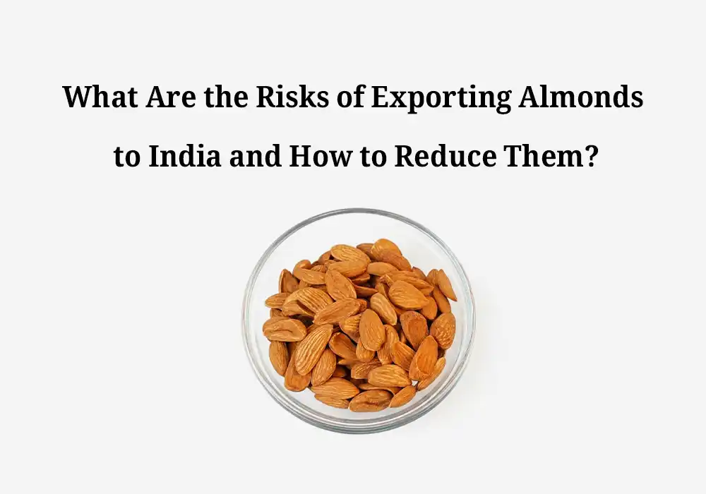 What Are the Risks of Exporting Almonds to India and How to Reduce Them?