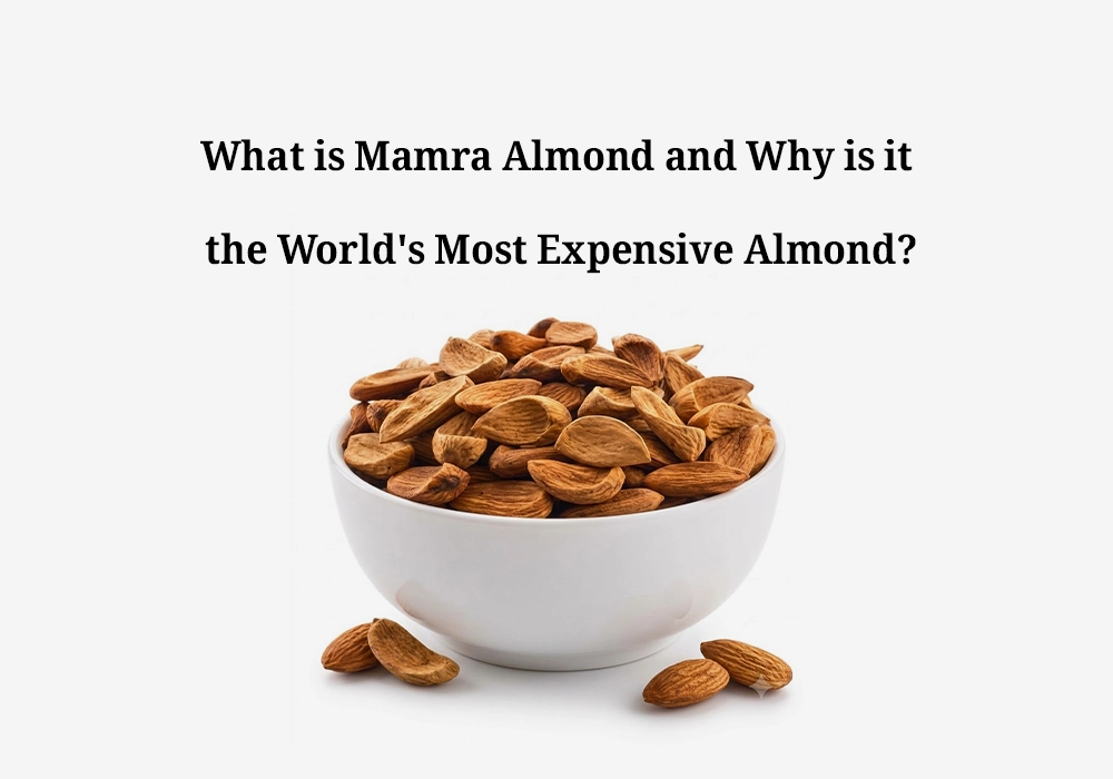 What is Mamra Almond and Why is it the World's Most Expensive Almond?