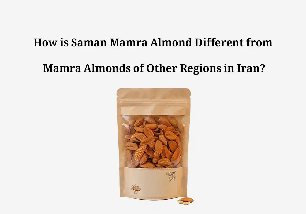 How is Saman Mamra Almond Different from Mamra Almonds of Other Regions in Iran?
