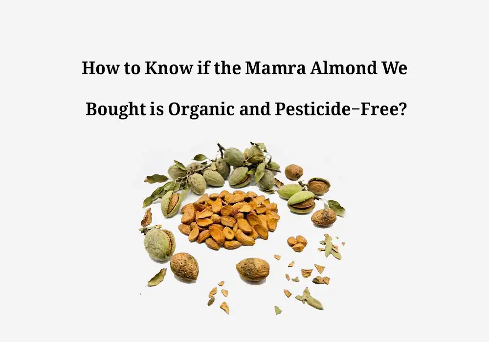 How to Know if the Mamra Almond We Bought is Organic and Pesticide-Free?