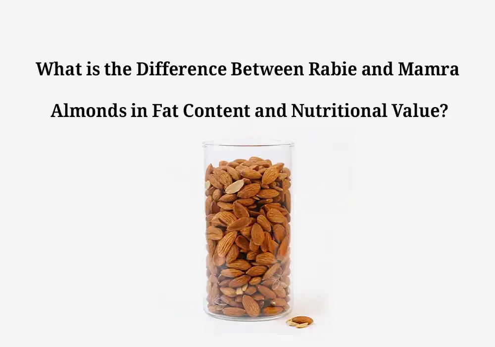 What is the Difference Between Rabie and Mamra Almonds in Fat Content and Nutritional Value?