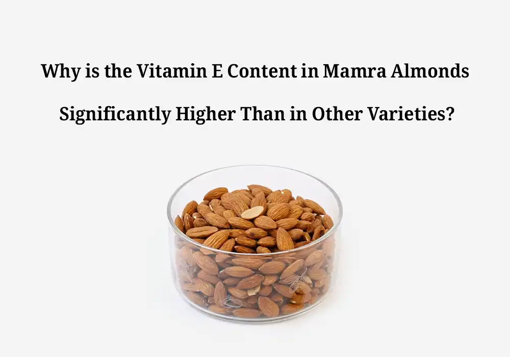 Why is the Vitamin E Content in Mamra Almonds Significantly Higher Than in Other Varieties?