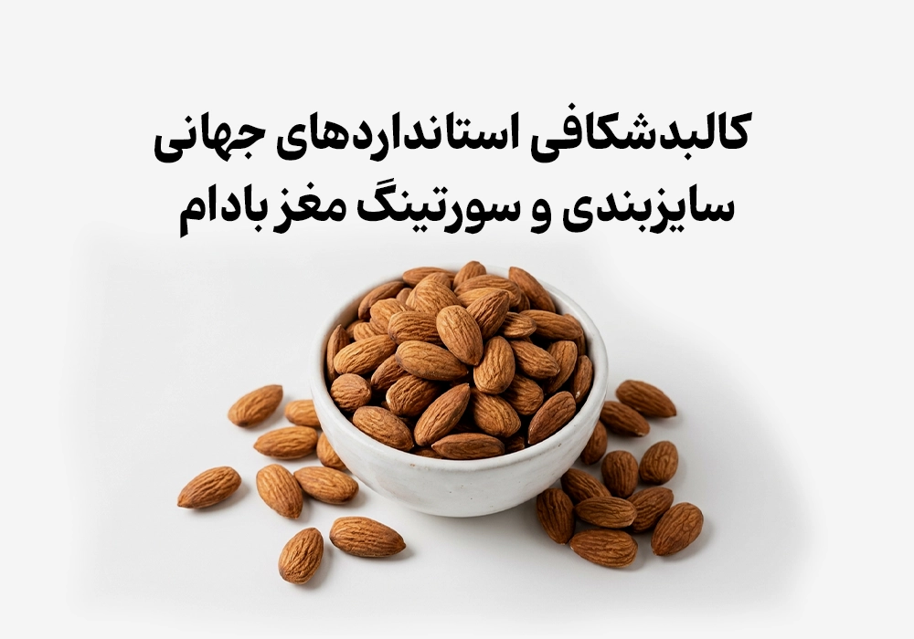 کالبدشکافی فنی استانداردهای سورتینگ بادام صادراتی