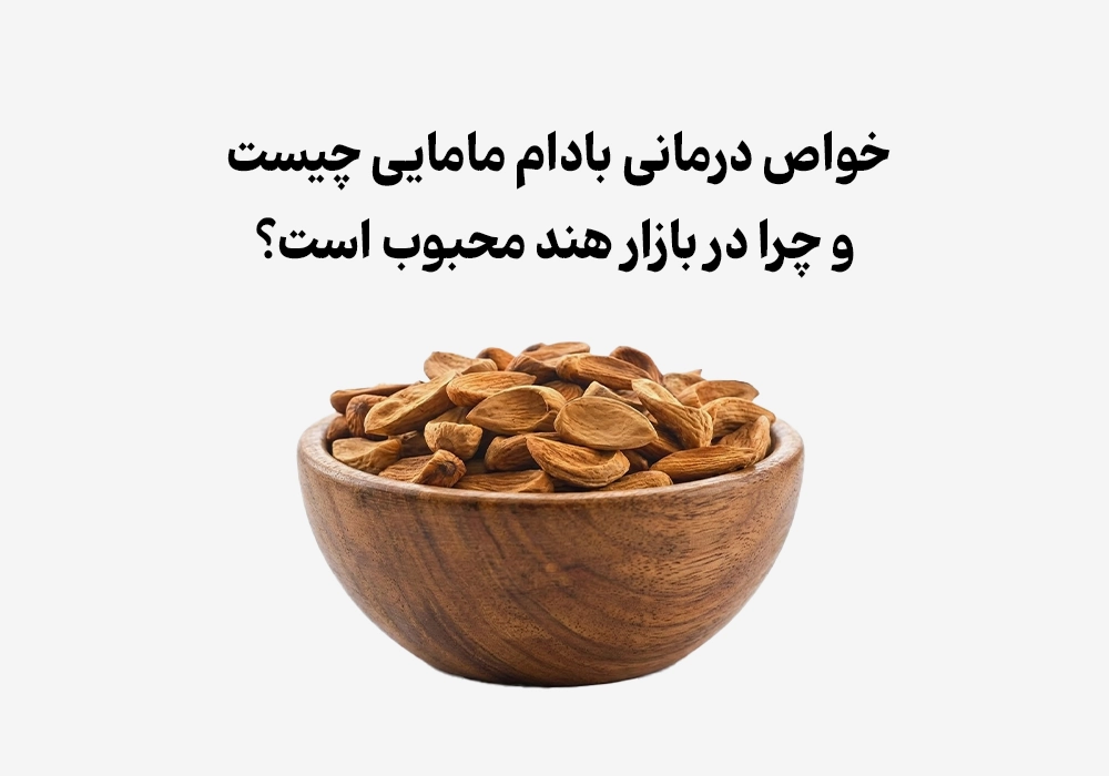 خواص درمانی بادام مامایی چیست و چرا در بازار هند محبوب است؟