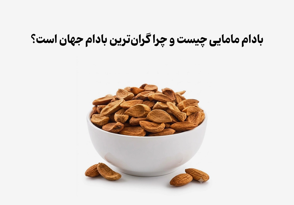 بادام مامایی چیست و چرا گران‌ترین بادام جهان است؟