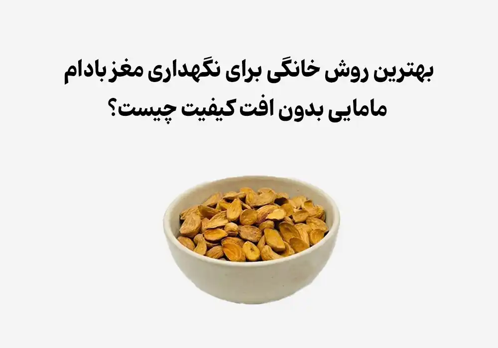 بهترین روش خانگی برای نگهداری مغز بادام مامایی بدون افت کیفیت چیست؟