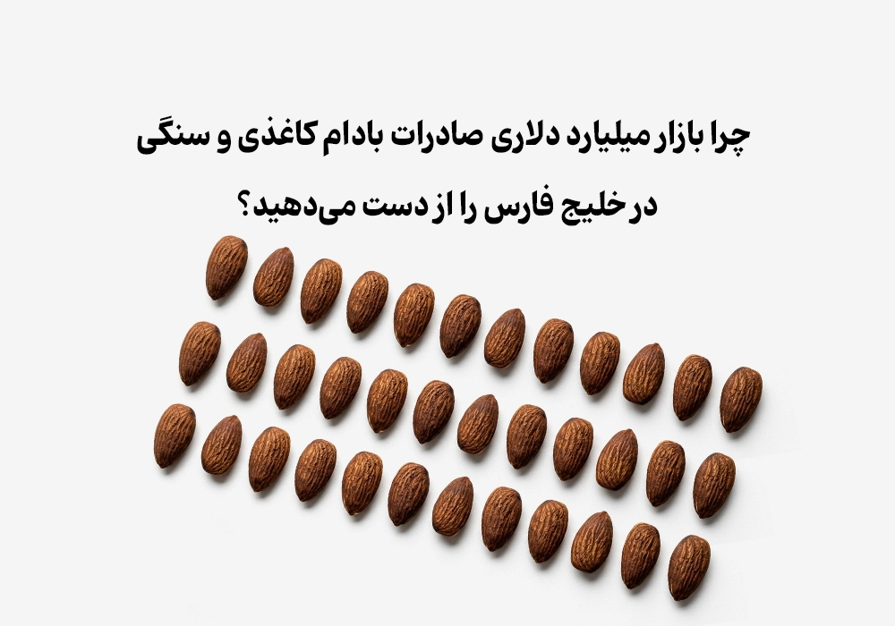 چرا بازار میلیارد دلاری صادرات بادام کاغذی و سنگی در خلیج فارس را از دست می‌دهید؟