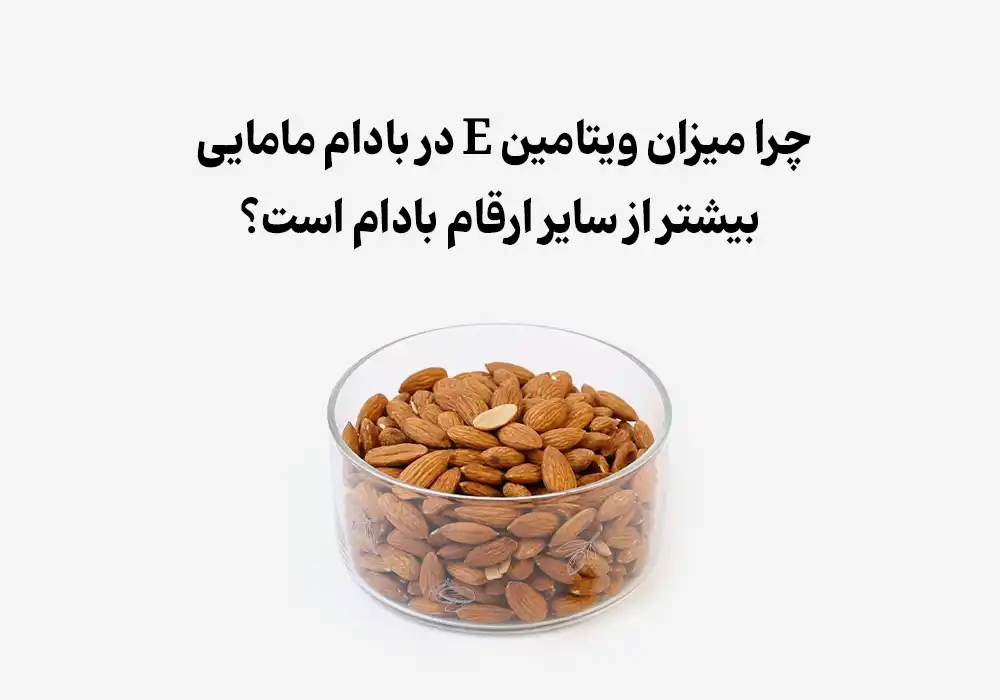 چرا میزان ویتامین E در بادام مامایی بیشتر از سایر ارقام بادام است؟
