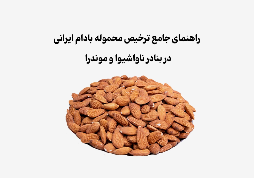 راهنمای جامع ترخیص محموله بادام ایرانی در بنادر ناواشیوا و موندرا