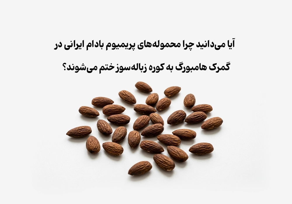 آیا می‌دانید چرا محموله‌های پریمیوم بادام ایرانی در گمرک هامبورگ به کوره زباله‌سوز ختم می‌شوند؟