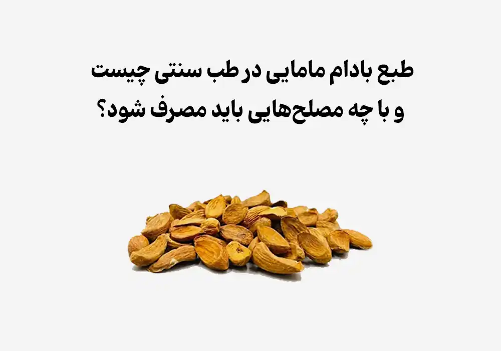طبع بادام مامایی در طب سنتی چیست و با چه مصلح‌هایی باید مصرف شود؟