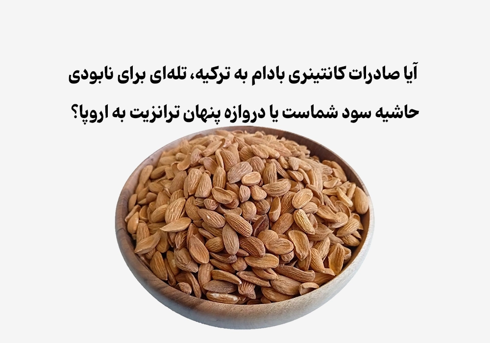 آیا صادرات کانتینری بادام به ترکیه، تله‌ای برای نابودی حاشیه سود شماست یا دروازه پنهان ترانزیت به اروپا؟