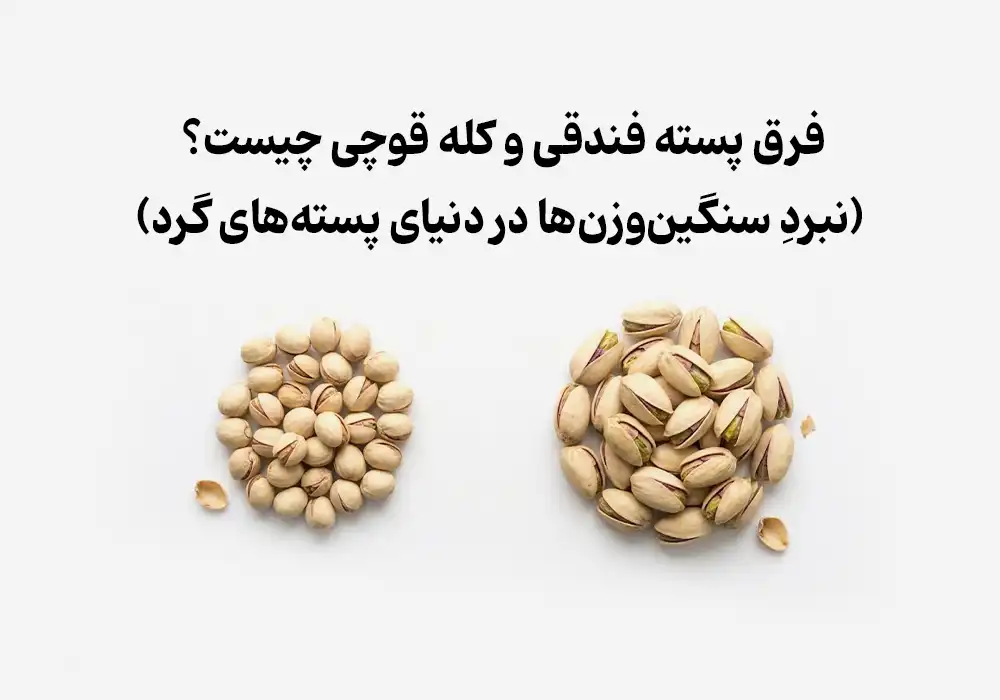 فرق پسته فندقی و کله قوچی چیست؟ (نبردِ سنگین‌وزن‌ها در دنیای پسته‌های گرد)