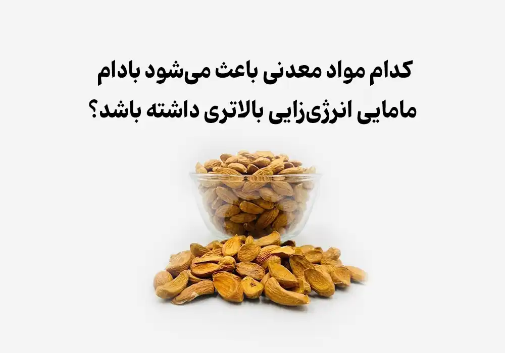 کدام مواد معدنی باعث می‌شود بادام مامایی انرژی‌زایی بالاتری داشته باشد؟