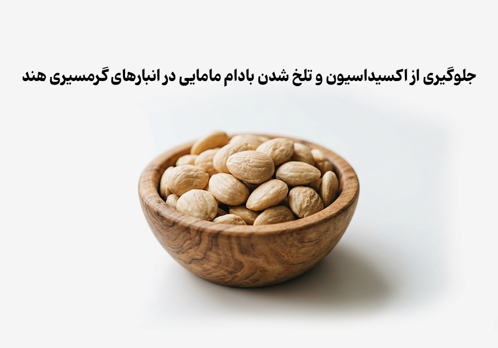 راهنمای فنی جلوگیری از تلخ شدن بادام مامایی در انبارهای هند