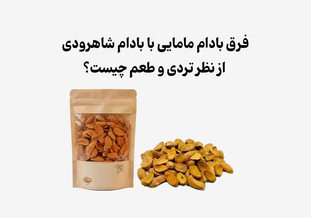فرق بادام مامایی با بادام شاهرودی از نظر تردی و طعم چیست؟