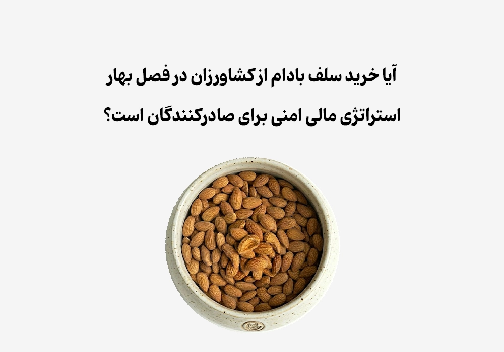 چرا خرید سلف بادام در بهار سرمایه صادراتی شما را نابود می‌کند؟