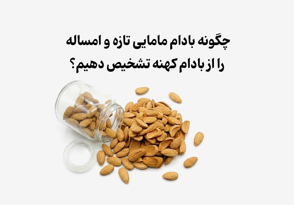 چگونه بادام مامایی تازه و امساله را از بادام کهنه تشخیص دهیم؟