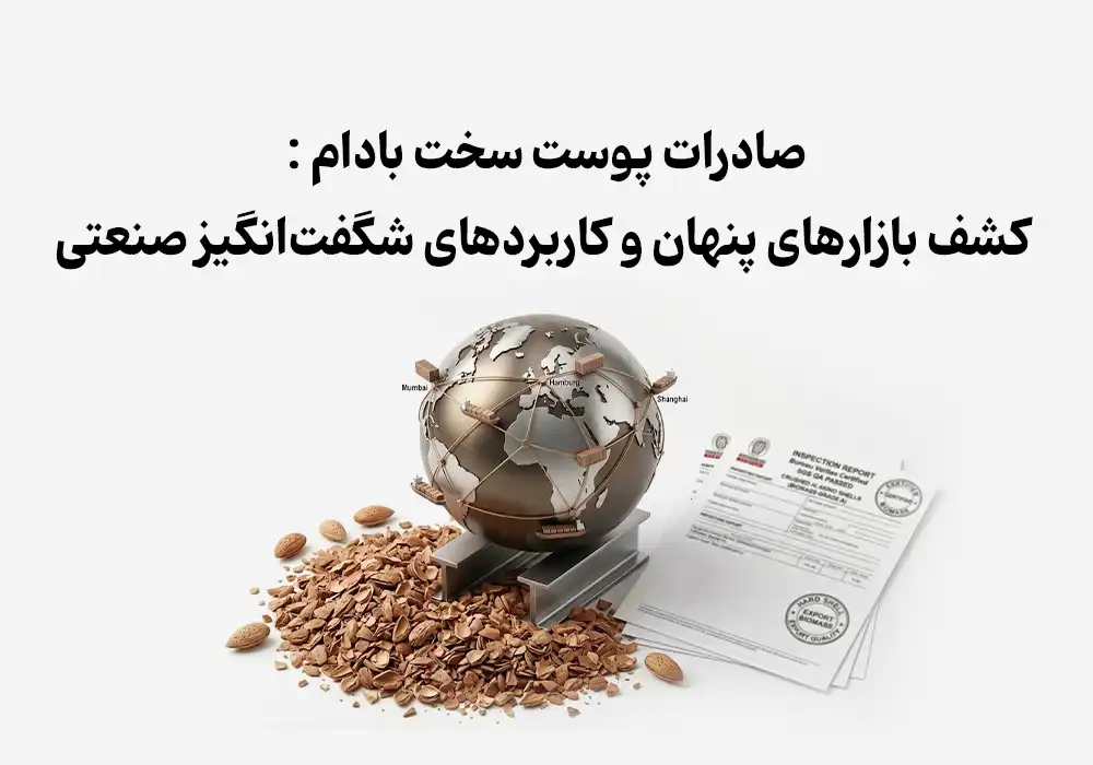صادرات پوست سخت بادام : کشف بازارهای پنهان و کاربردهای شگفت‌انگیز صنعتی