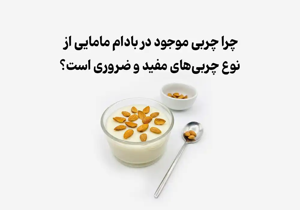 چرا چربی موجود در بادام مامایی از نوع چربی‌های مفید و ضروری است؟