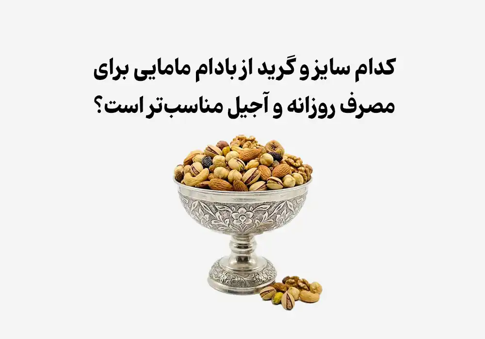 کدام سایز و گرید از بادام مامایی برای مصرف روزانه و آجیل مناسب‌تر است؟