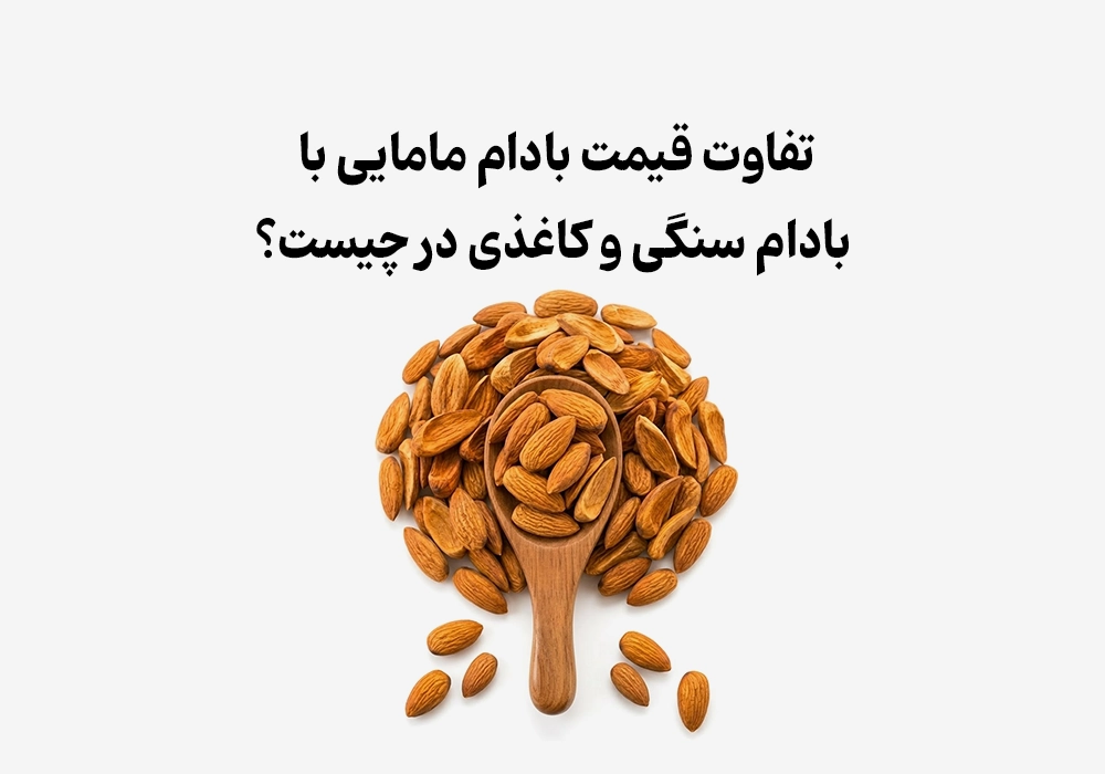 تفاوت قیمت بادام مامایی با بادام سنگی و کاغذی در چیست؟