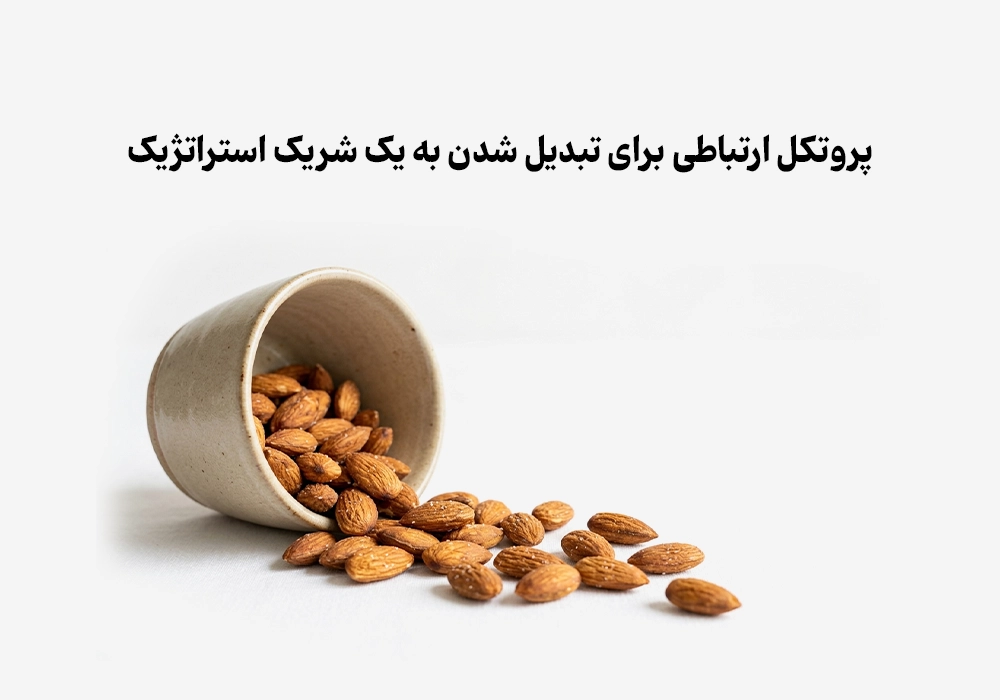ایمیل مارکتینگ و لینکدین در صادرات: پروتکل ارتباطی برای تبدیل شدن به یک شریک استراتژیک