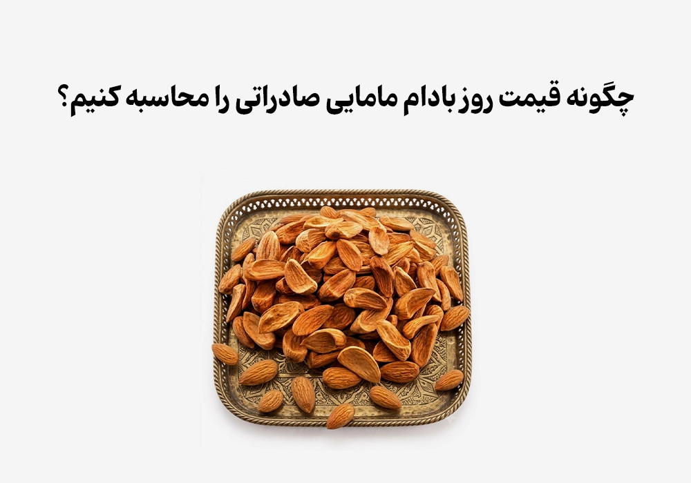 چگونه قیمت روز بادام مامایی صادراتی را محاسبه کنیم؟