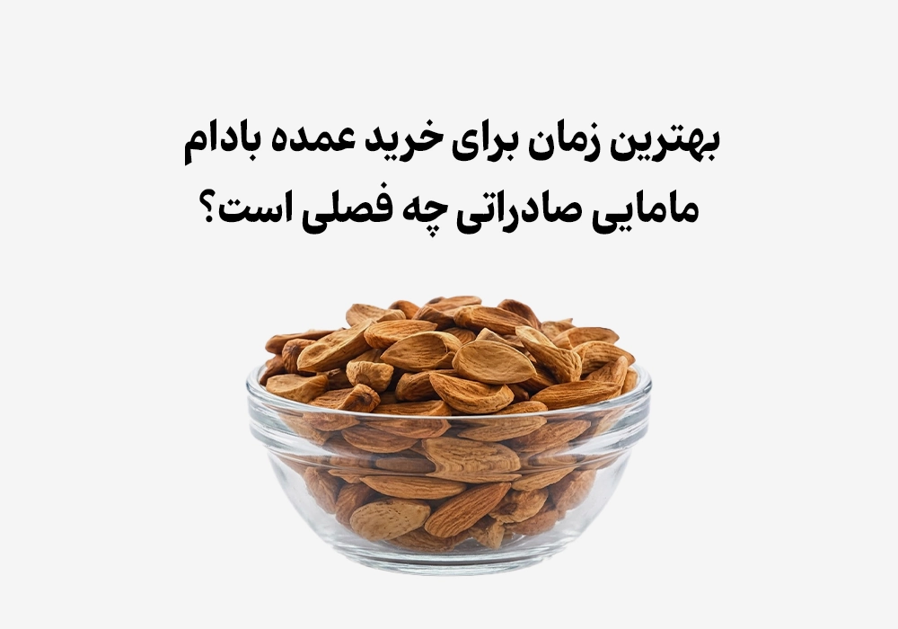 بهترین زمان برای خرید عمده بادام مامایی صادراتی چه فصلی است؟