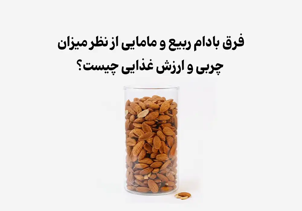 فرق بادام ربیع و مامایی از نظر میزان چربی و ارزش غذایی چیست؟