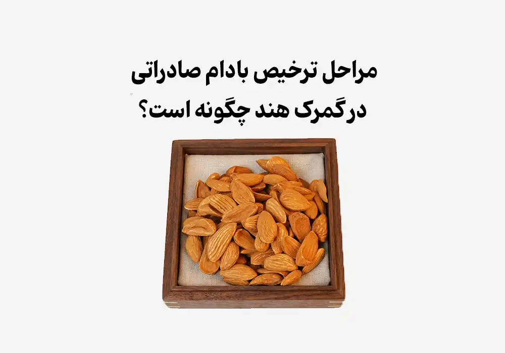 مراحل ترخیص بادام صادراتی در گمرک هند چگونه است؟