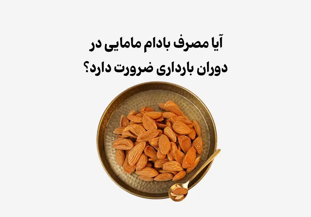 آیا مصرف بادام مامایی در دوران بارداری ضرورت دارد؟