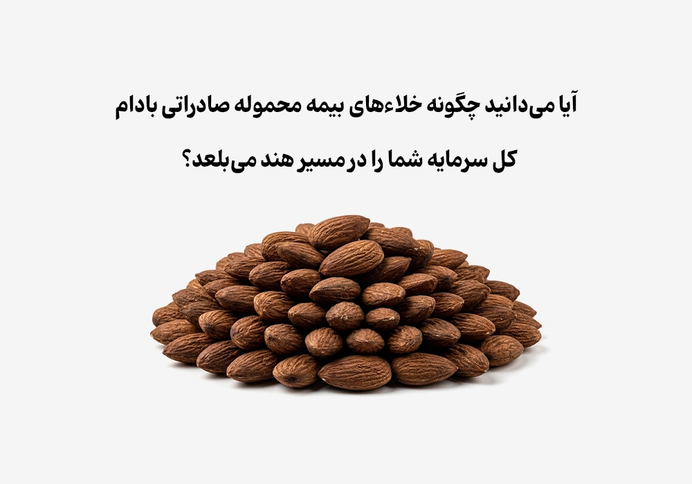 آیا می‌دانید چگونه خلاءهای بیمه محموله صادراتی بادام، کل سرمایه شما را در مسیر هند می‌بلعد؟
