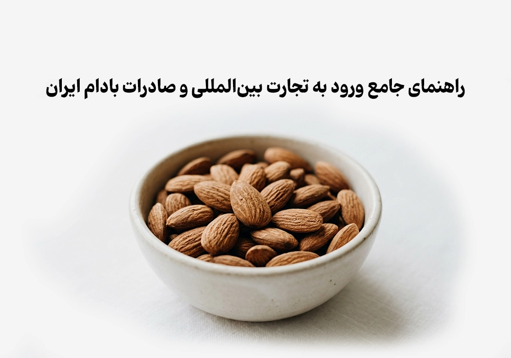 راهنمای جامع ورود به تجارت بین‌المللی و صادرات بادام ایران