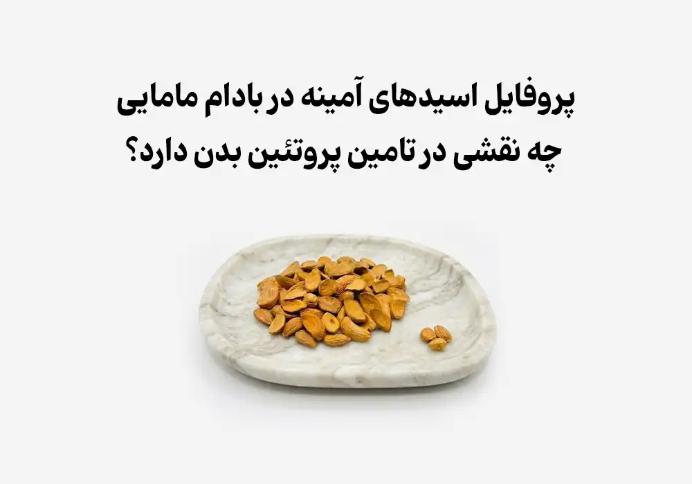 پروفایل اسیدهای آمینه در بادام مامایی چه نقشی در تامین پروتئین بدن دارد؟ 