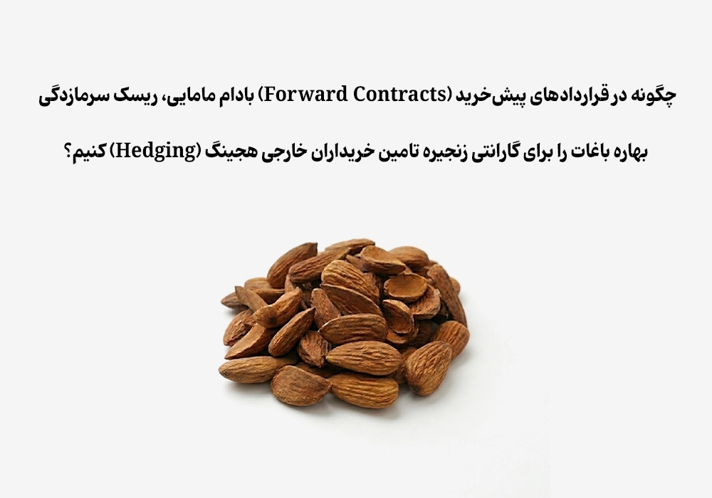 چگونه ریسک سرمازدگی بادام مامایی را در قراردادها هجینگ کنیم؟
