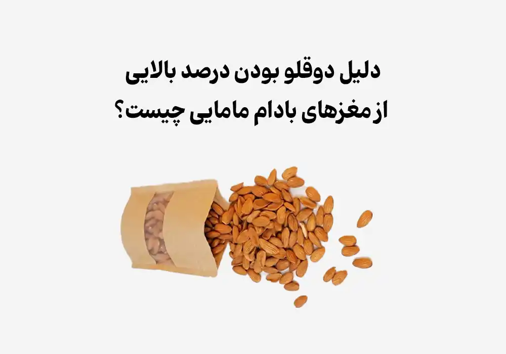 دلیل دوقلو بودن درصد بالایی از مغزهای بادام مامایی چیست؟