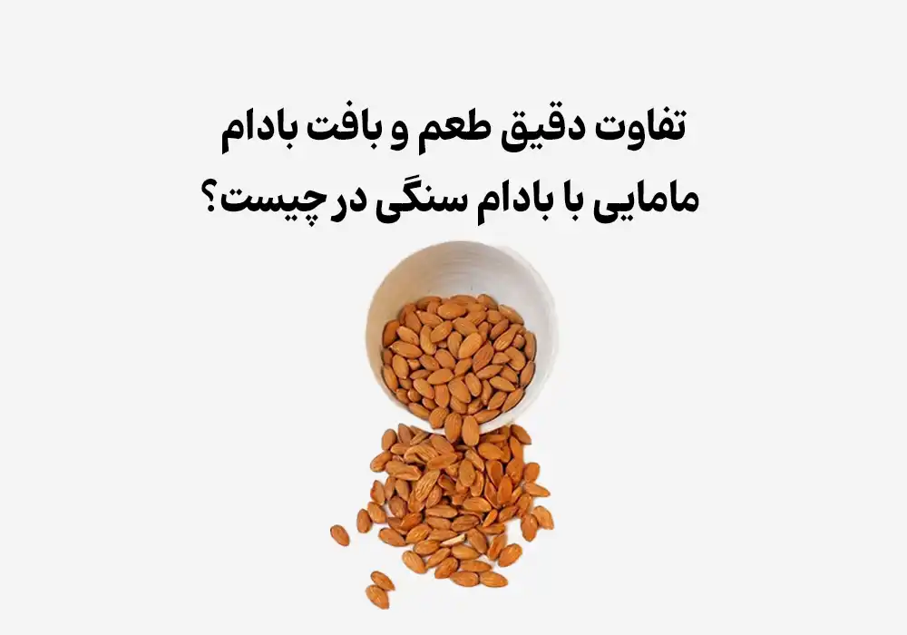 تفاوت دقیق طعم و بافت بادام مامایی با بادام سنگی در چیست؟