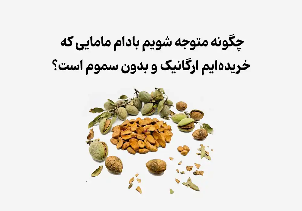 چگونه متوجه شویم بادام مامایی که خریده‌ایم ارگانیک و بدون سموم است؟