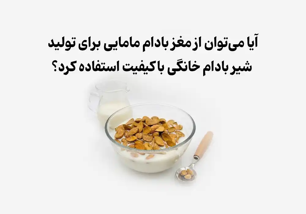 آیا می‌توان از مغز بادام مامایی برای تولید شیر بادام خانگی باکیفیت استفاده کرد؟