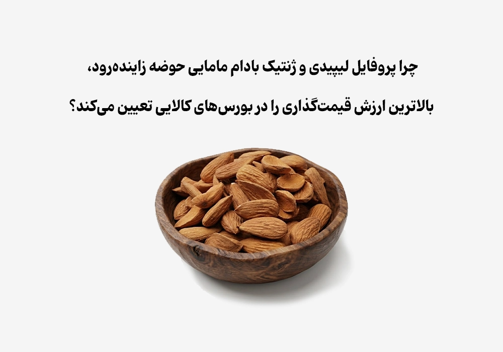 چرا خریداران هندی بالاترین قیمت را برای چربی بادام مامایی زاینده‌رود می‌پردازند؟