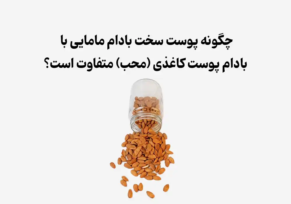 چگونه پوست سخت بادام مامایی با بادام پوست کاغذی (محب) متفاوت است؟