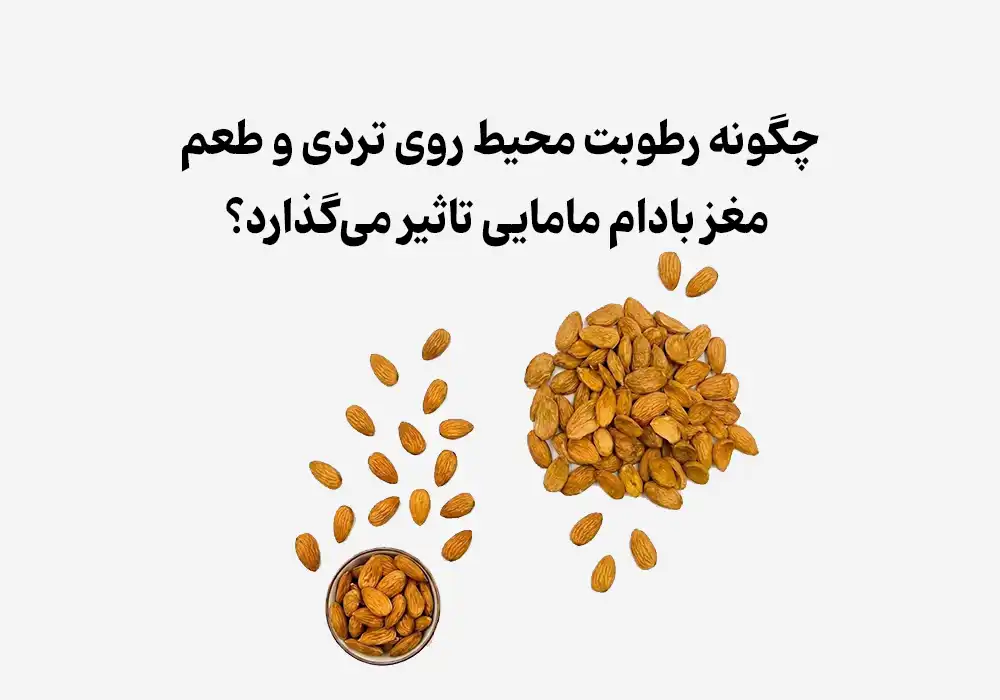 چگونه رطوبت محیط روی تردی و طعم مغز بادام مامایی تاثیر می‌گذارد؟
