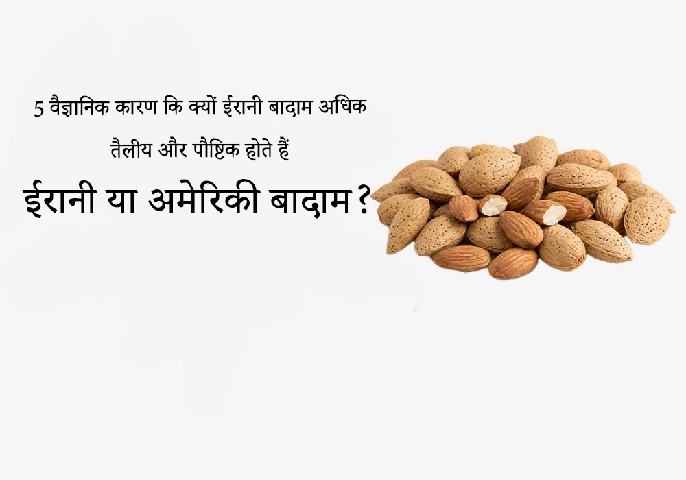 ईरानी बनाम अमेरिकी बादाम? 5 वैज्ञानिक कारण कि क्यों ईरानी बादाम अधिक तैलीय और पौष्टिक होते हैं