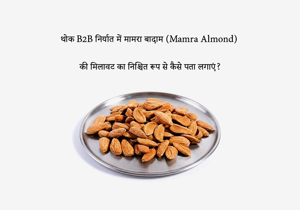 थोक B2B निर्यात में मामरा बादाम (Mamra Almond) की मिलावट का निश्चित रूप से कैसे पता लगाएं?