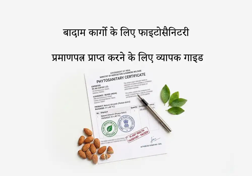 बादाम कार्गो के लिए फाइटोसैनिटरी प्रमाणपत्र प्राप्त करने के लिए व्यापक गाइड