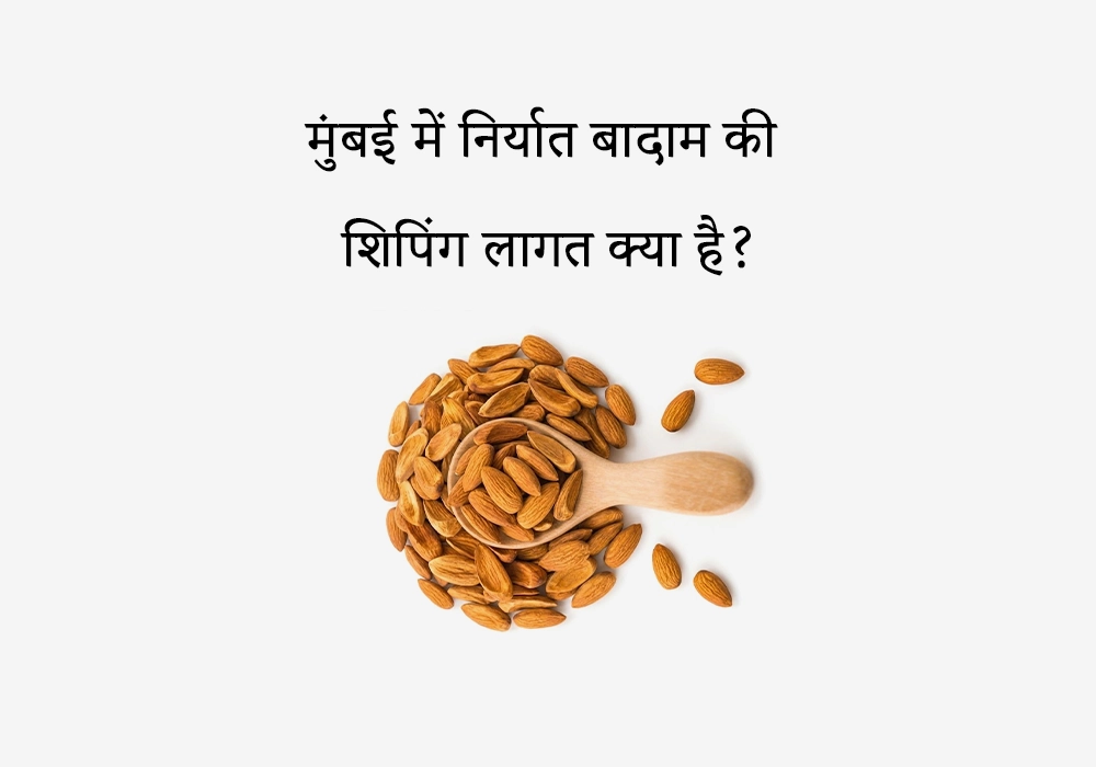 मुंबई में निर्यात बादाम की शिपिंग लागत क्या है?