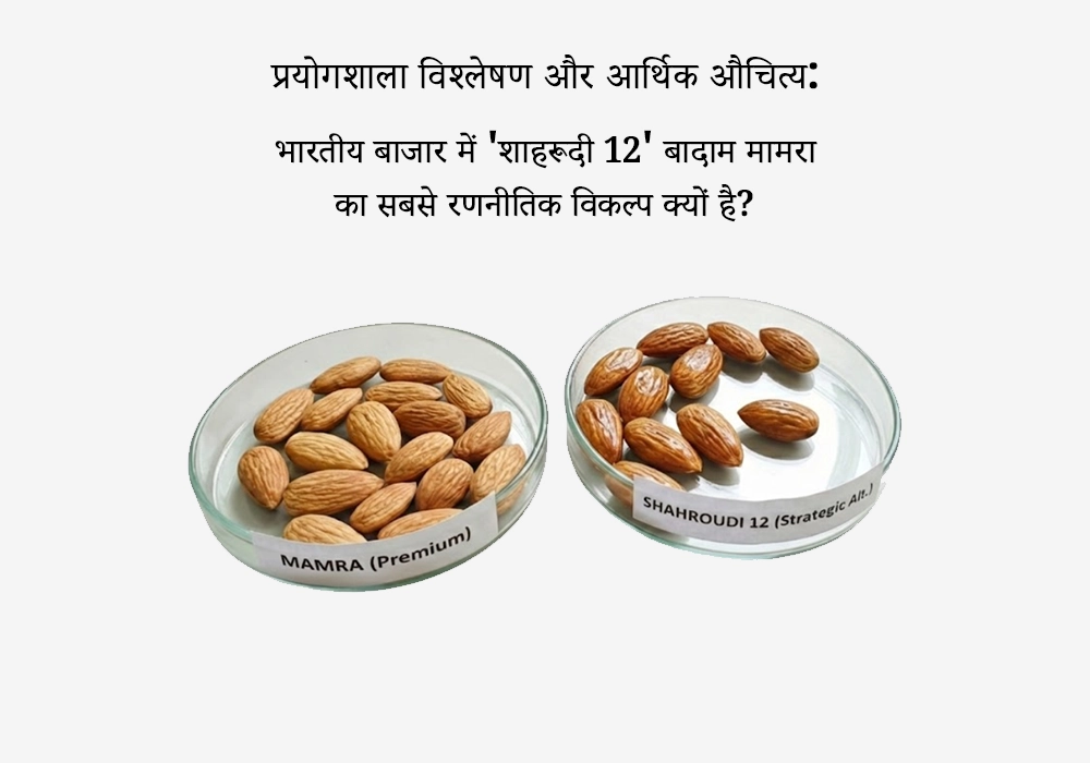 प्रयोगशाला विश्लेषण (Lab Analysis)