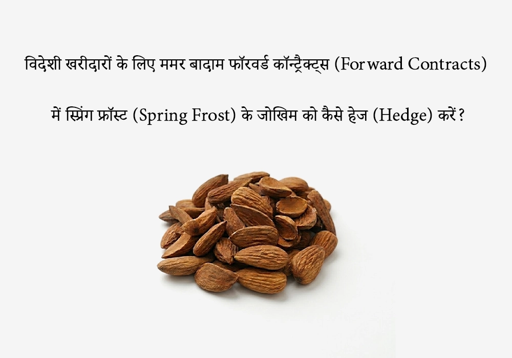 मामरा बादाम कॉन्ट्रैक्ट्स में 'स्प्रिंग फ्रॉस्ट' रिस्क कैसे हेज करें